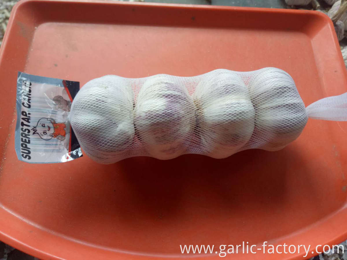 Export Wholesale Fresh Normal White Garlic